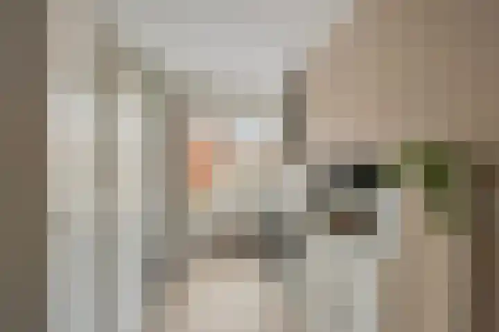 Spankerstraat 13 Rotterdam thumbnail 17