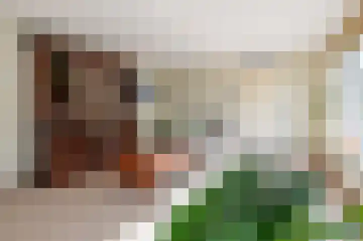Spankerstraat 25 Lisse thumbnail 11