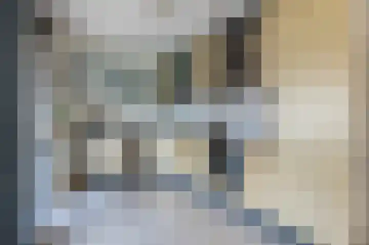 Spankerstraat 25 Lisse thumbnail 17