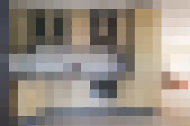 Spankerstraat 25 Lisse thumbnail 18