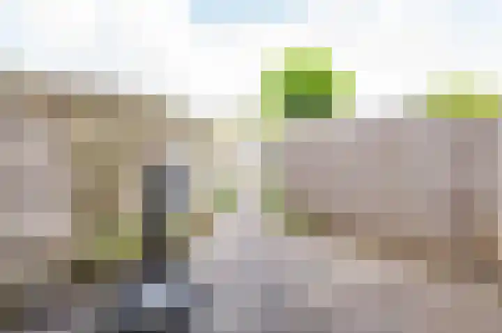 Spankerstraat 25 Lisse thumbnail 34