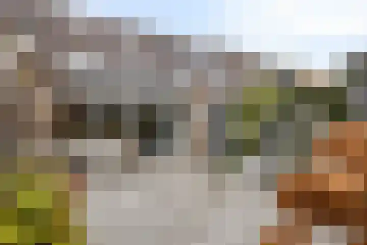 Spannenburg 71 Hoofddorp thumbnail 26