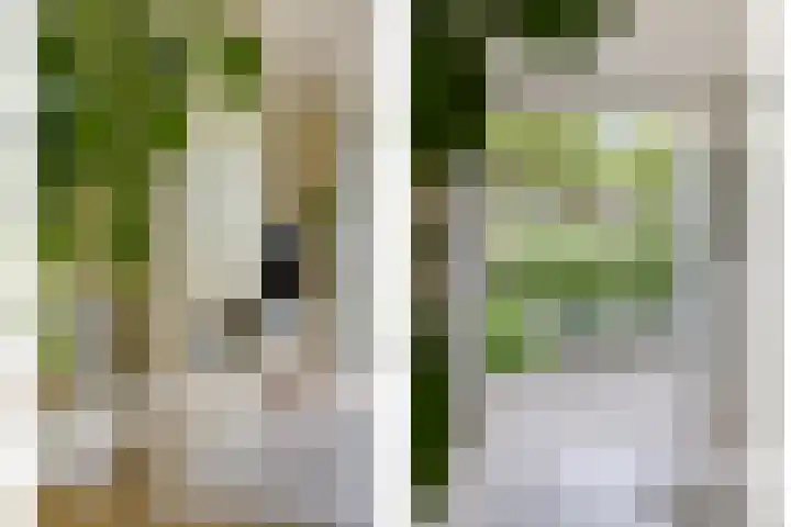 Spant 24 Assendelft thumbnail 15