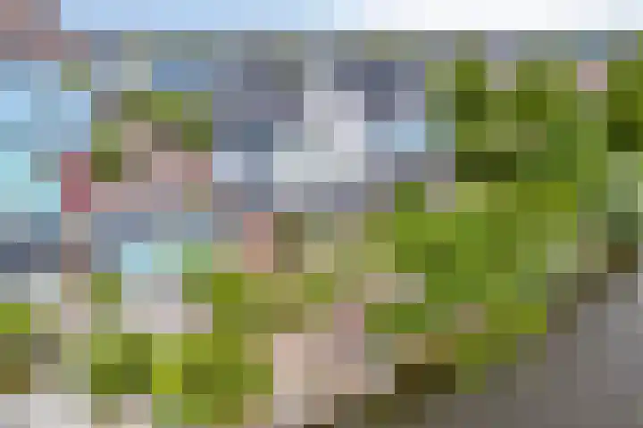 Spant 24 Assendelft thumbnail 16