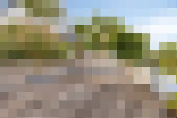 Spant 24 Assendelft thumbnail 18