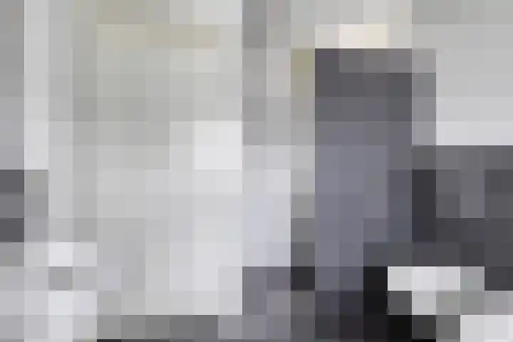 Spant 24 Assendelft thumbnail 30