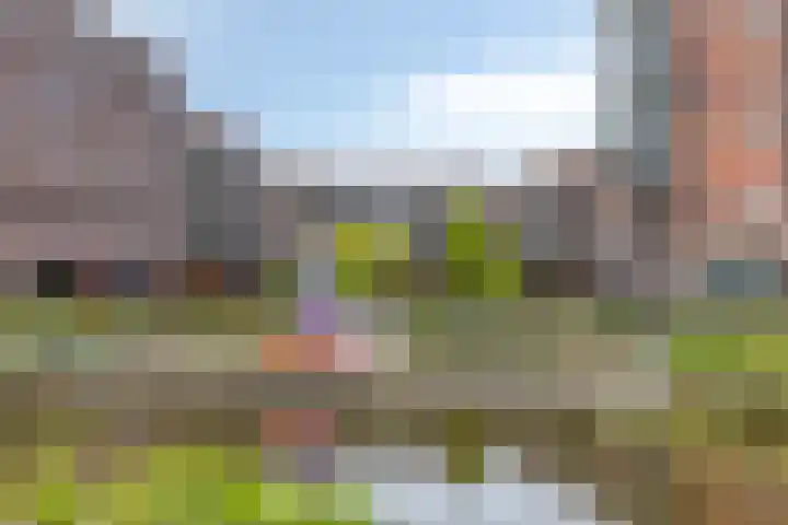 Spant 24 Assendelft thumbnail 42