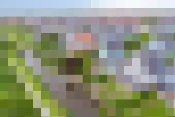 Spant 24 Assendelft thumbnail 46