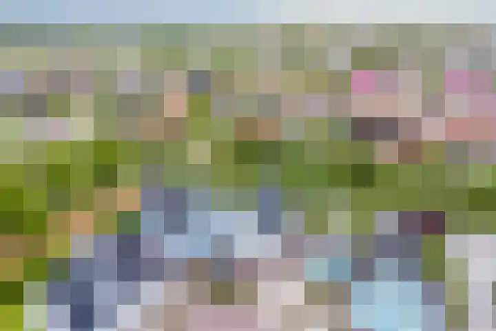 Spant 24 Assendelft thumbnail 50