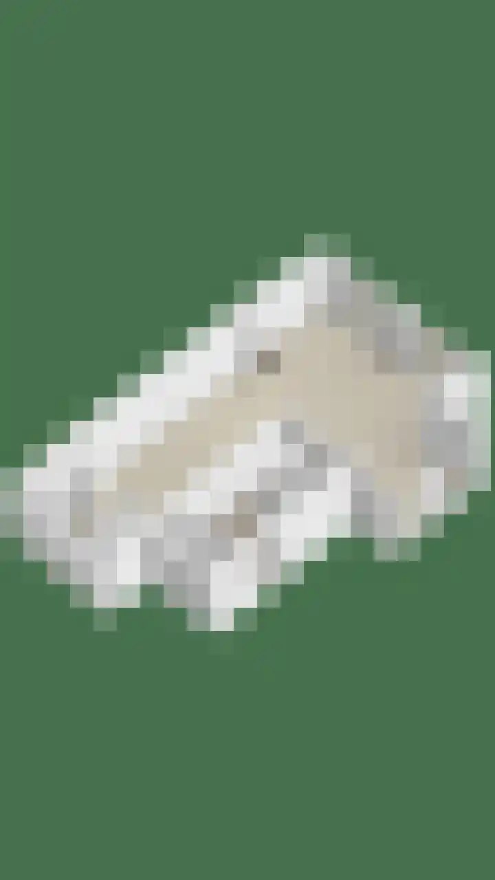 Spant 24 Assendelft thumbnail 56
