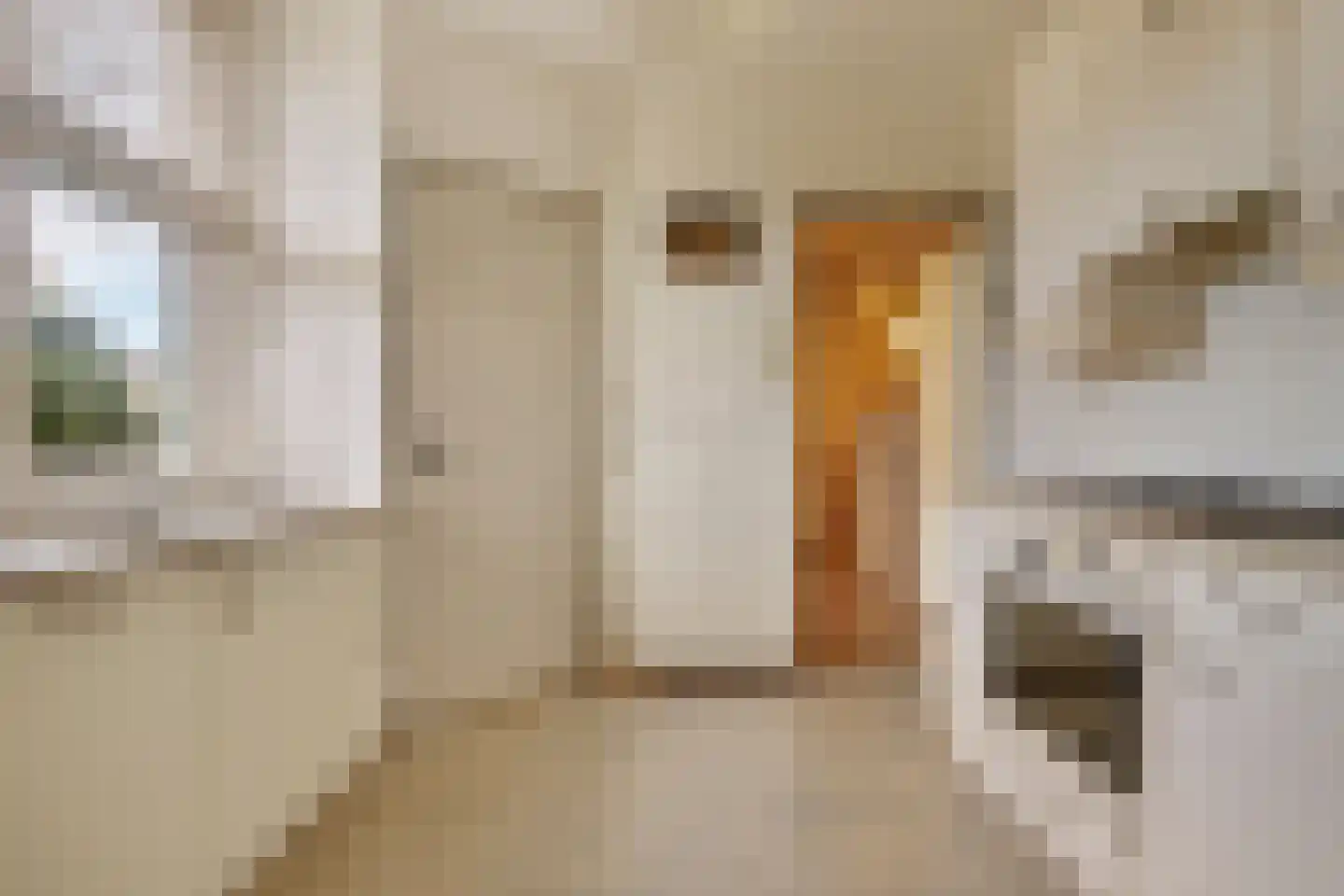 Sparksstraat 49 Spui thumbnail 15