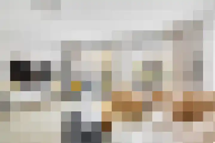 Sparregat 8 Brielle thumbnail 11