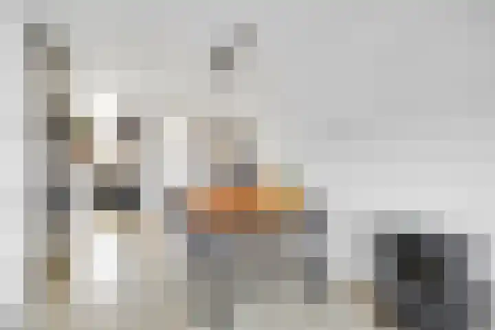 Sparregat 8 Brielle thumbnail 14
