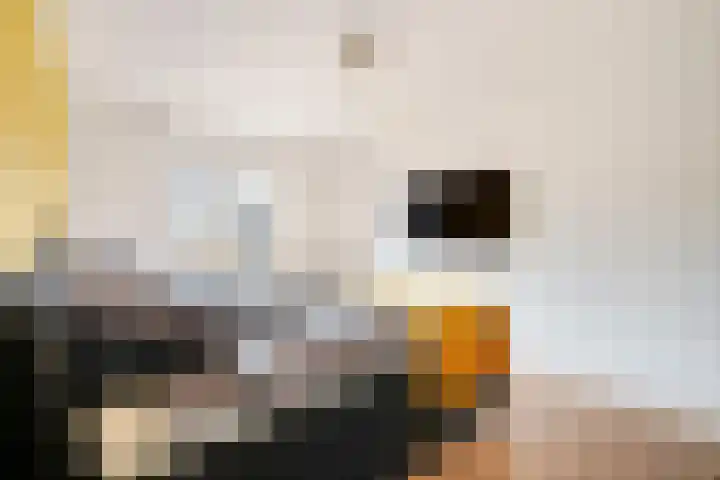 Sparregat 8 Brielle thumbnail 26