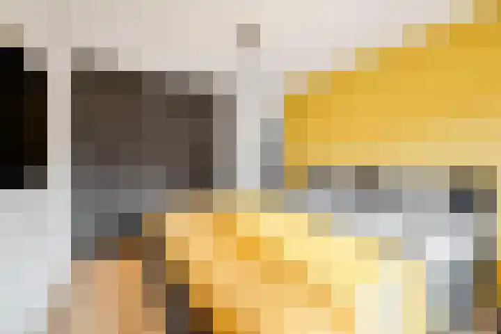 Sparregat 8 Brielle thumbnail 27