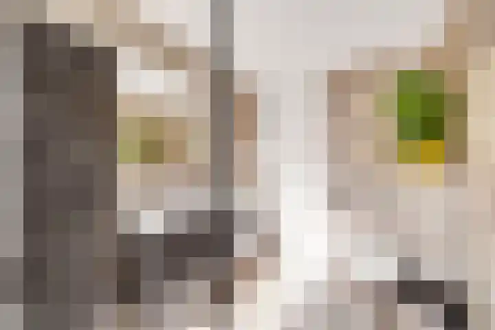 Sparregat 8 Brielle thumbnail 30
