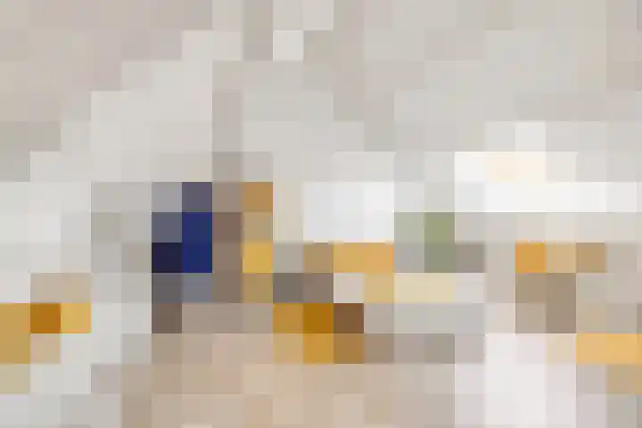 Sparregat 8 Brielle thumbnail 32