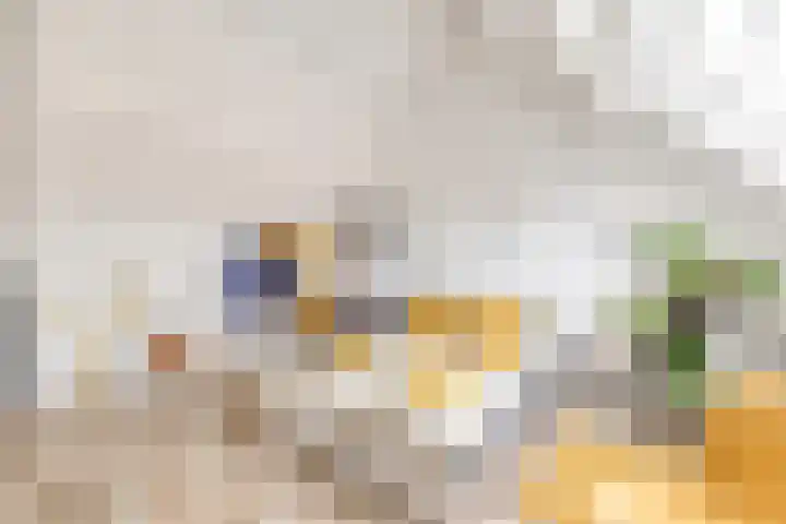 Sparregat 8 Brielle thumbnail 34