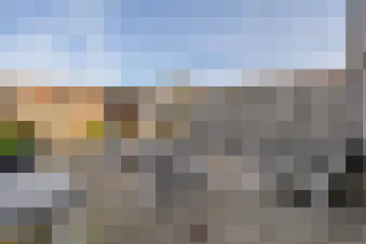 Sparregat 8 Brielle thumbnail 36