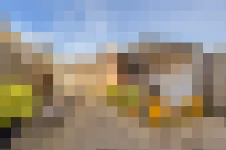 Sparregat 8 Brielle thumbnail 38