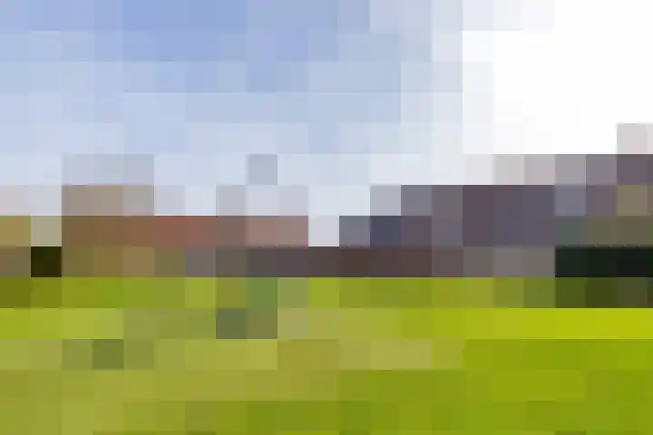 Sparregat 8 Brielle thumbnail 41