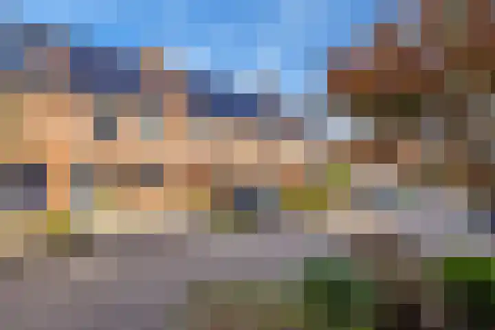Sparregat 8 Brielle thumbnail 43