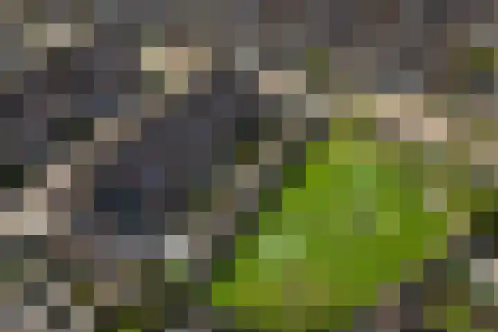 Sparregat 8 Brielle thumbnail 49