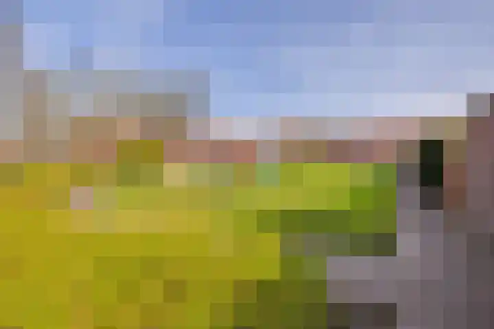 Sparregat 8 Brielle thumbnail 51