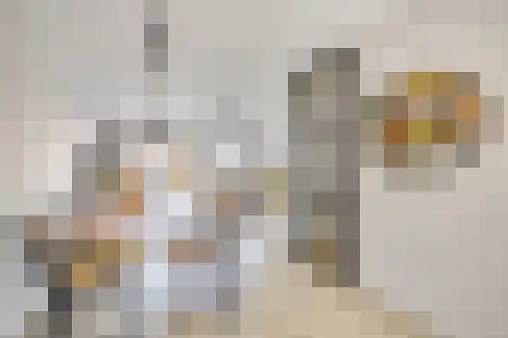Sparregat 8 Brielle thumbnail 7