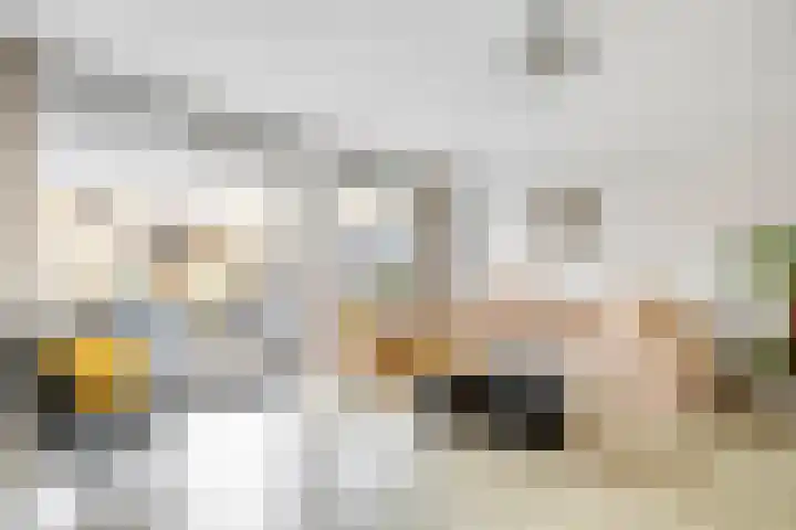Sparregat 8 Brielle thumbnail 9