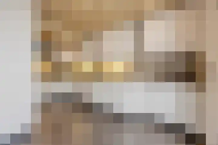 Sparrelaar 13 Veghel thumbnail 12