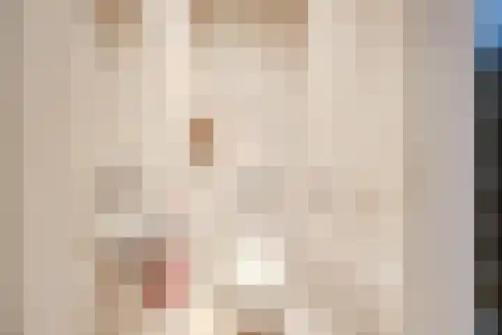 Sparrelaar 13 Veghel thumbnail 17