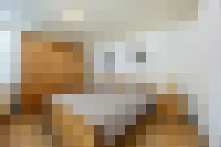 Sparrelaar 13 Veghel thumbnail 18