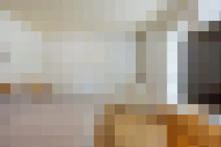 Sparrelaar 13 Veghel thumbnail 19