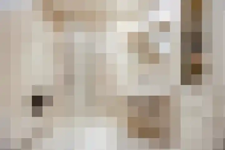 Sparrelaar 13 Veghel thumbnail 20