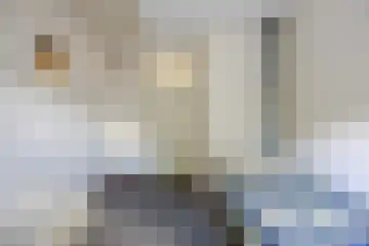 Sparrelaar 13 Veghel thumbnail 25