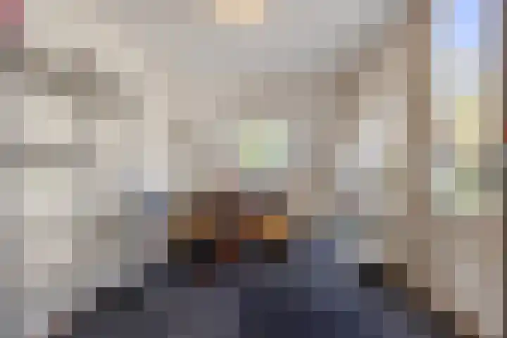 Sparrelaar 13 Veghel thumbnail 26
