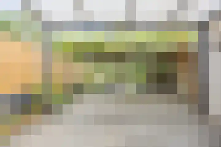 Sparrelaar 13 Veghel thumbnail 30