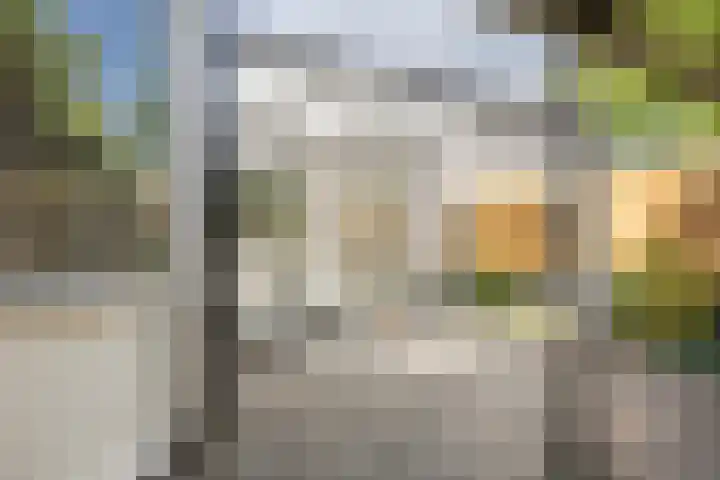 Sparrelaar 13 Veghel thumbnail 32