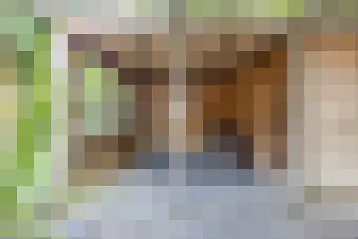 Sparrelaar 13 Veghel thumbnail 34