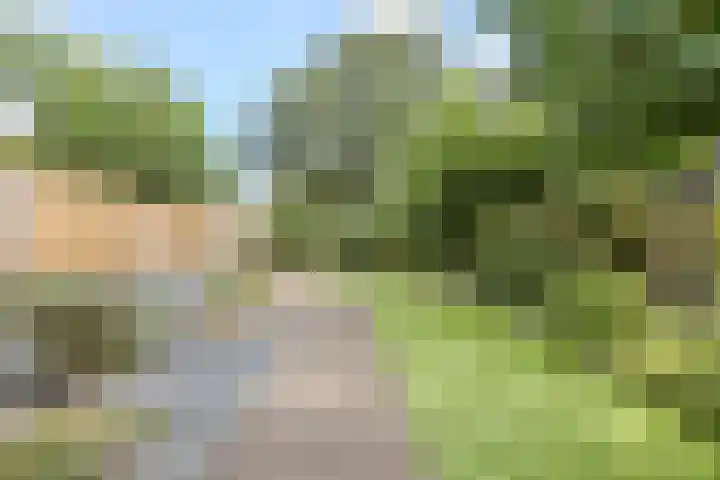 Sparrelaar 13 Veghel thumbnail 35