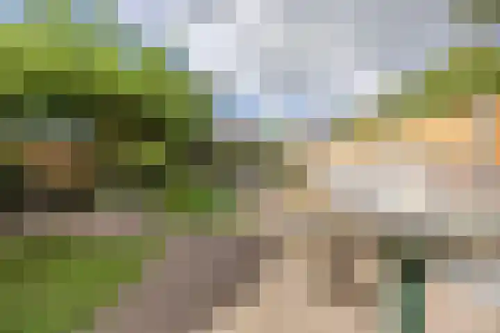 Sparrelaar 13 Veghel thumbnail 36