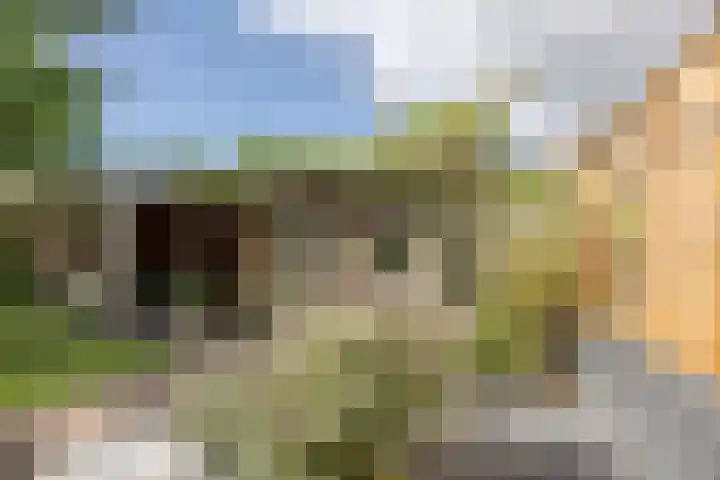 Sparrelaar 13 Veghel thumbnail 37