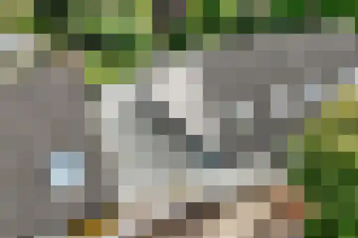 Sparrelaar 13 Veghel thumbnail 41