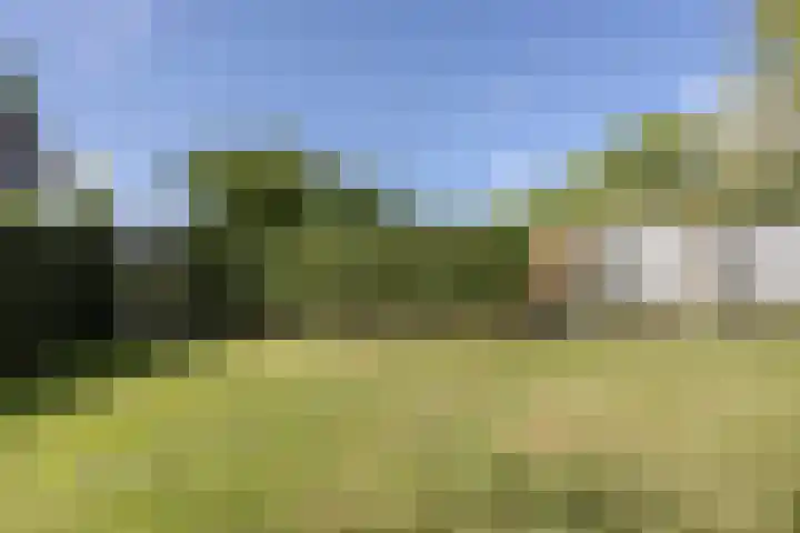 Sparrelaar 13 Veghel thumbnail 42