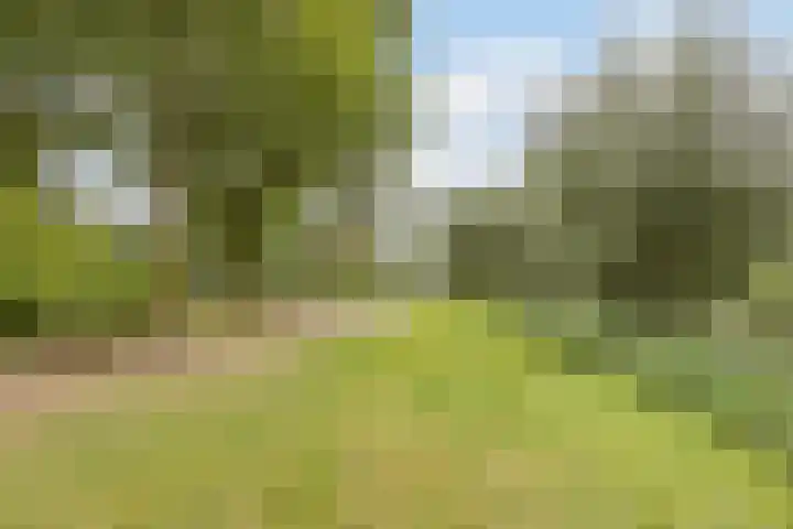 Sparrelaar 13 Veghel thumbnail 46