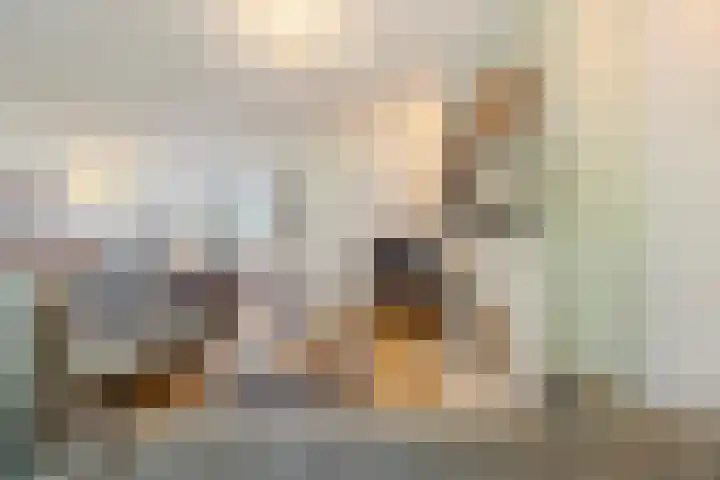 Sparrelaar 13 Veghel thumbnail 8