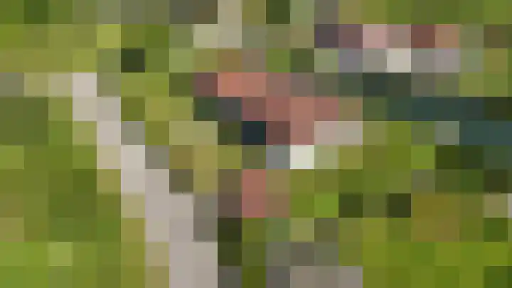 Sparrendreef 12 302 Oostrum