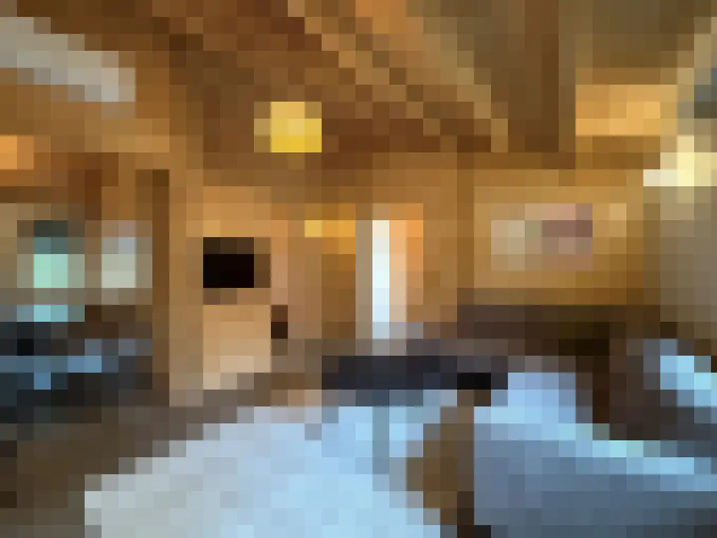 Sparrendreef 12 601 Oostrum thumbnail 16