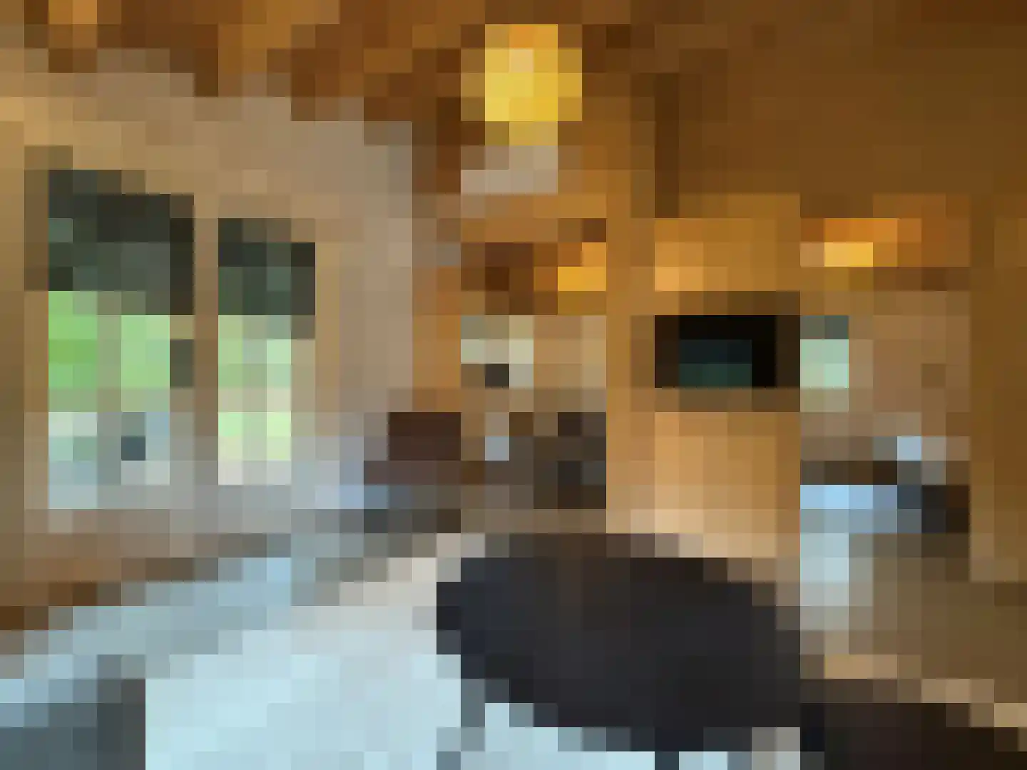 Sparrendreef 12 601 Oostrum thumbnail 17